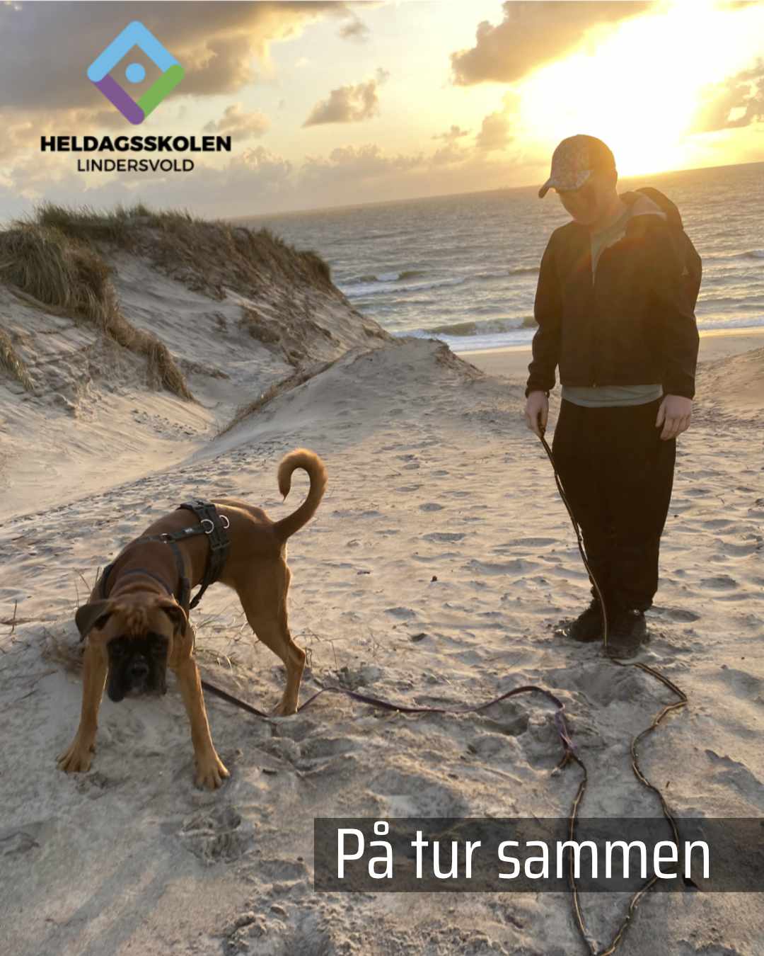 undervisning i naturen for børn med ufrivilligt skolefravær